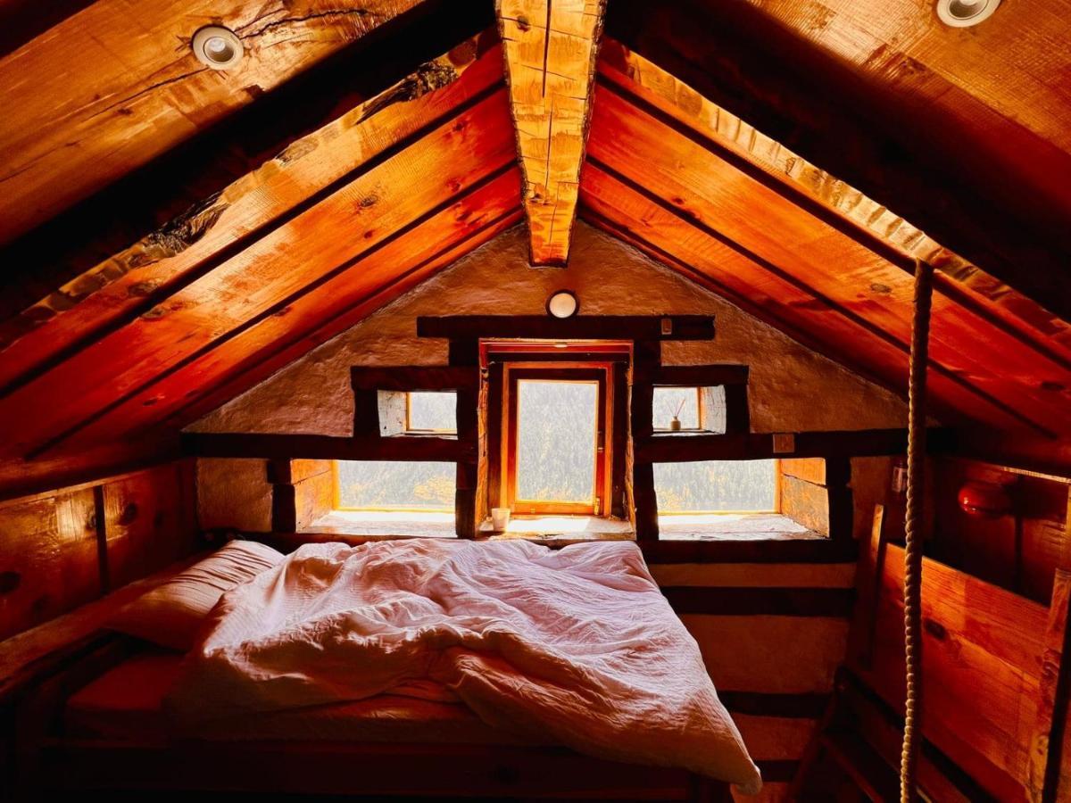 קאסול Parvatis Lap Luxury Hostel & Camps מראה חיצוני תמונה